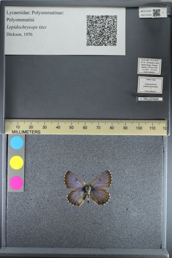 Media type: image;   Entomology 213123